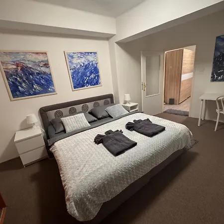 V Centru Ostravy 公寓 俄斯特拉发